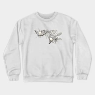 Broad-bordered Bee Hawk-moth on Honeysuckle Crewneck Sweatshirt